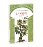 La Vigne – Magali Aimé | Symbolisme et traditions